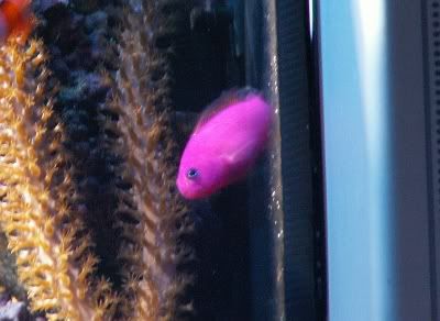 PICT0130.jpg