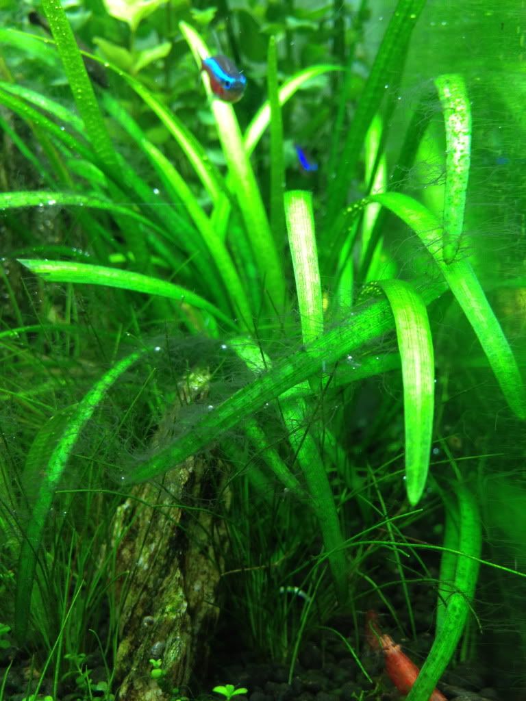 IMG_1005.jpg