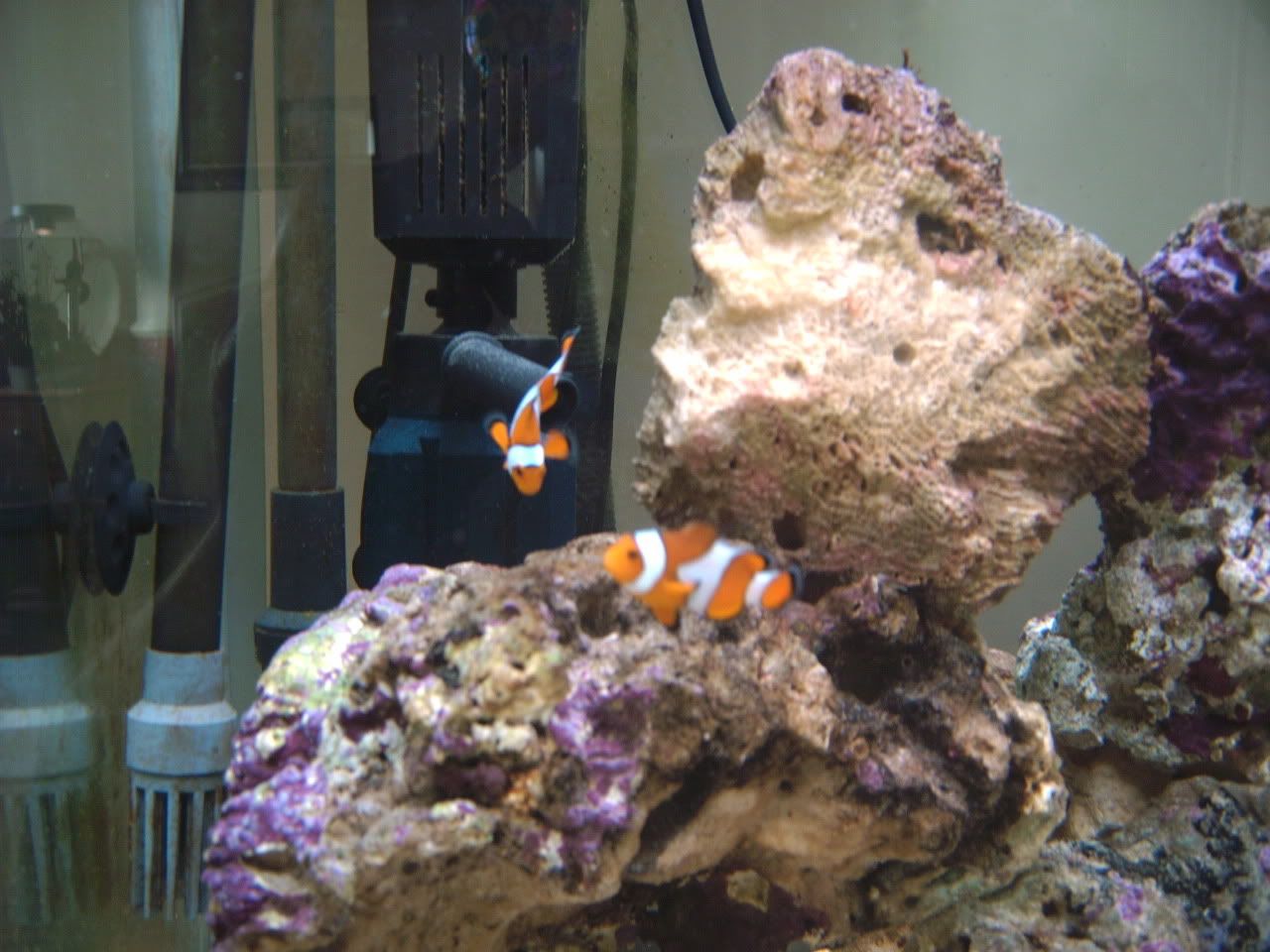 fishtanks019.jpg
