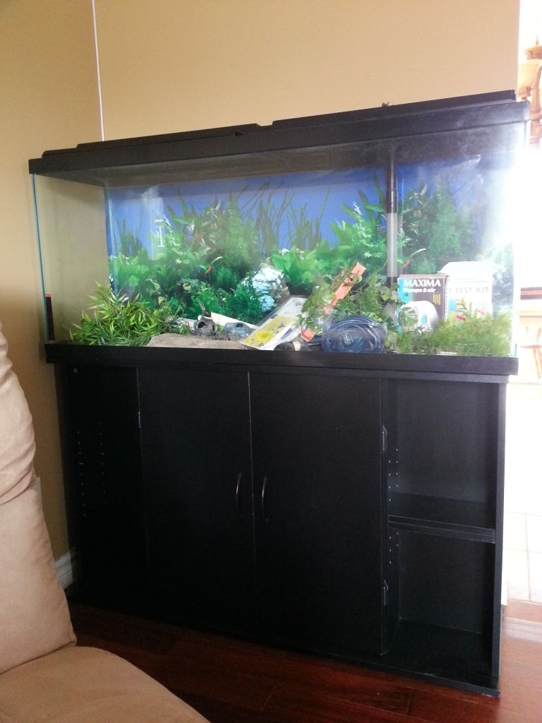 20120812_140637.jpg