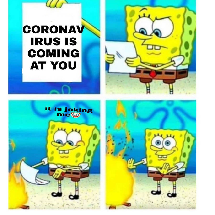 mx5zq.jpg