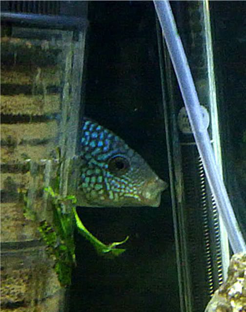 07022012683.jpg