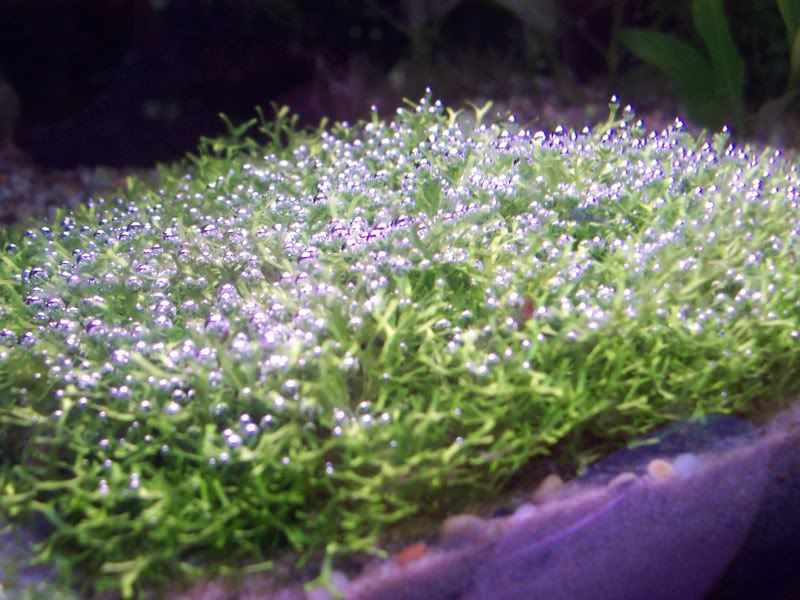 100_1536.jpg