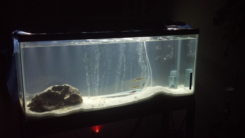2012-03-29_19-42-26_271.jpg