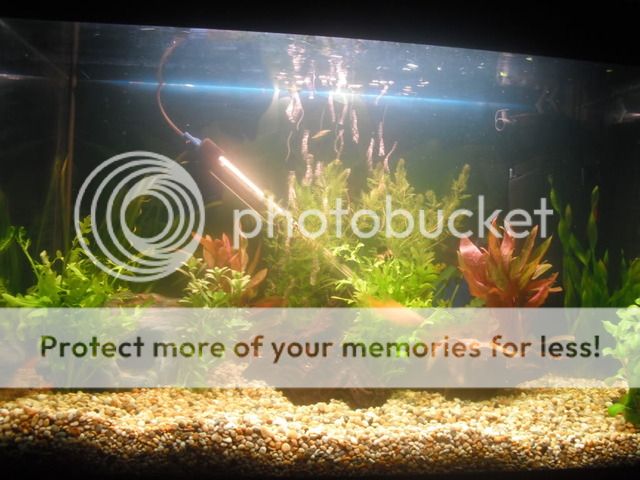 DSCF0270.jpg