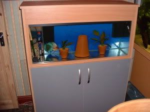 Picture1012.jpg