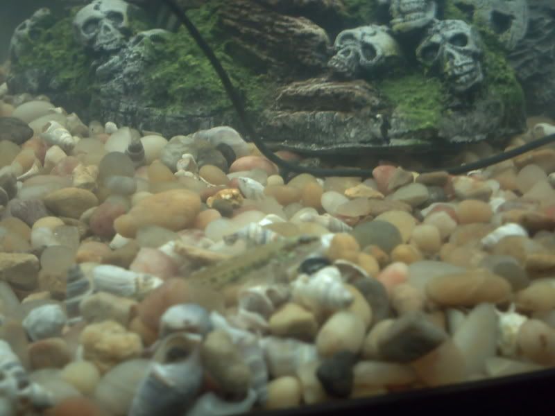 PICT0062.jpg