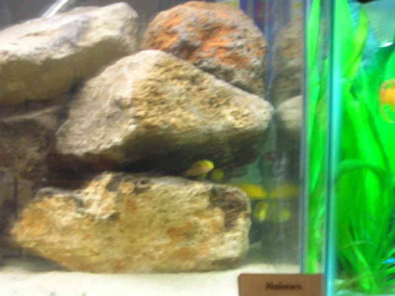 DSCN1174.jpg