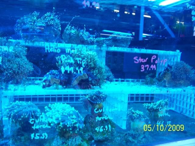 100_6140.jpg