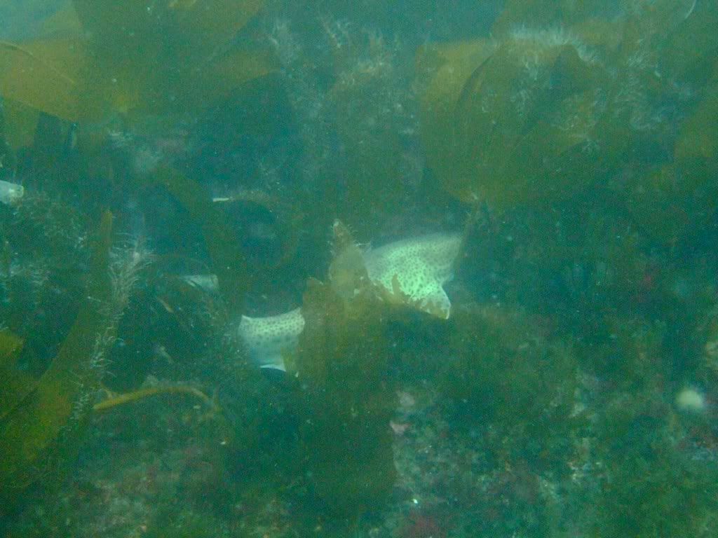 DSCF5684.jpg