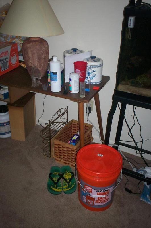 FishMess.jpg
