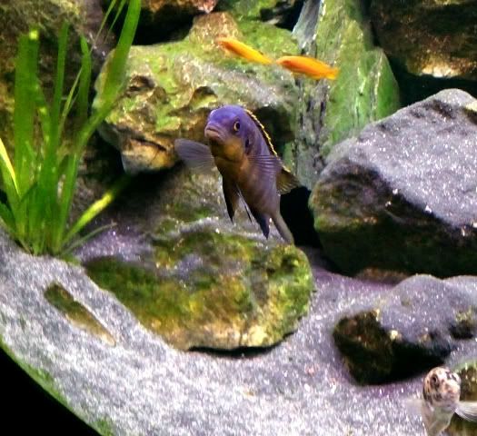 Photo0195.jpg