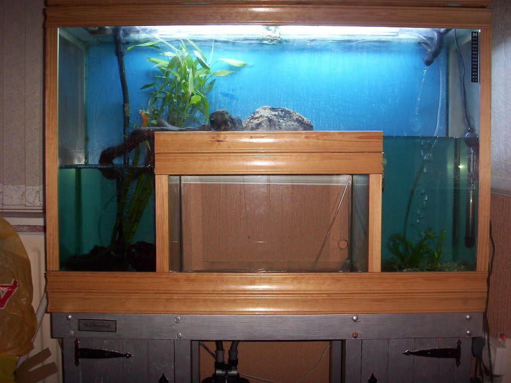 100_2071.jpg