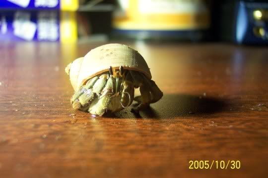 100_3142.jpg