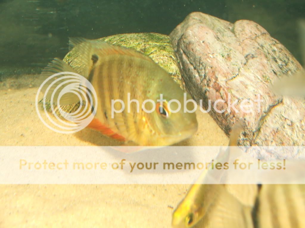 DSCF7769.jpg