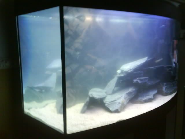 DSC00307.jpg