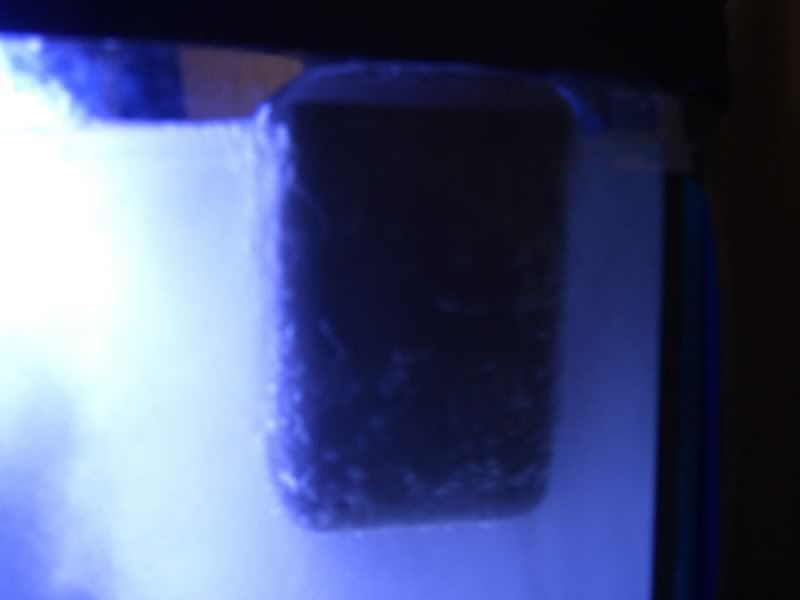 SuperSkimmer005.jpg