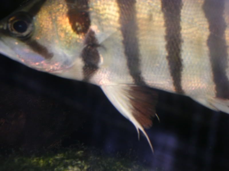 DSCN3791.jpg