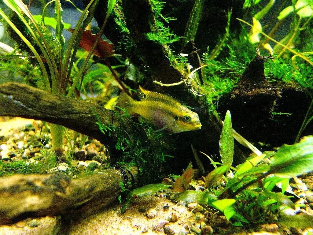 DSC02396.jpg