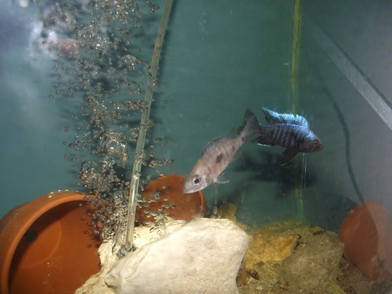 DSCF6746.jpg