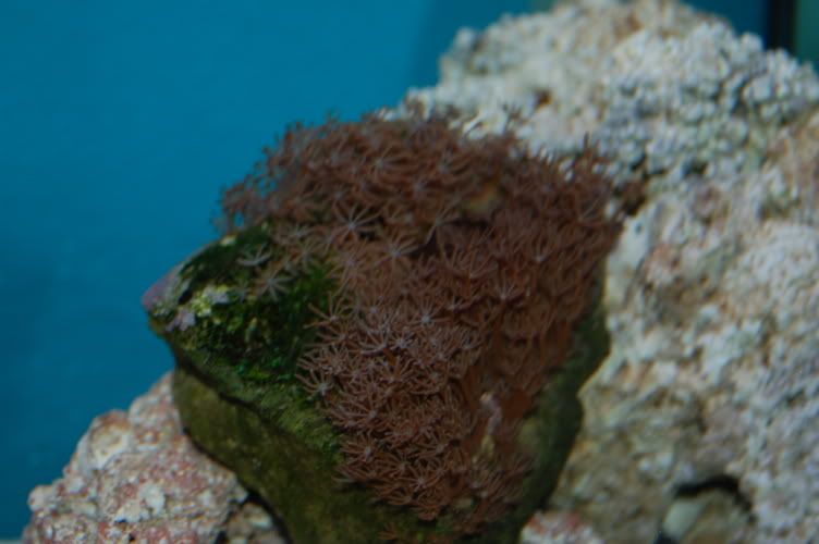 aquarium007.jpg