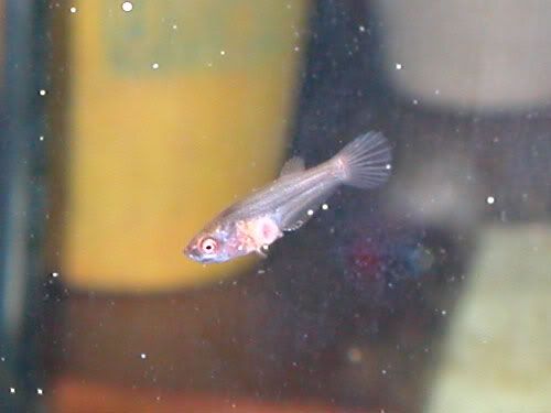 DSCN3899.jpg