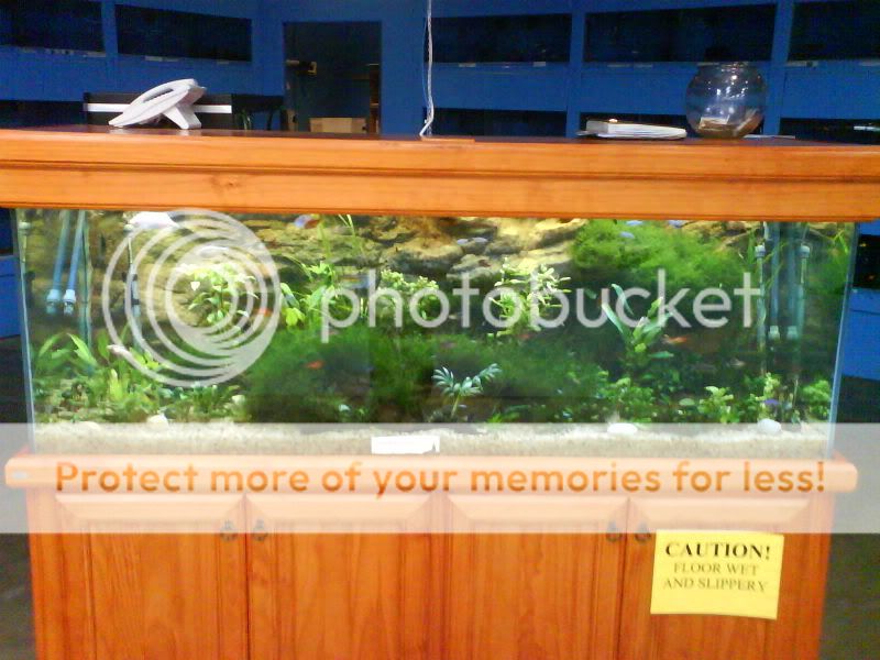 DSC00499.jpg
