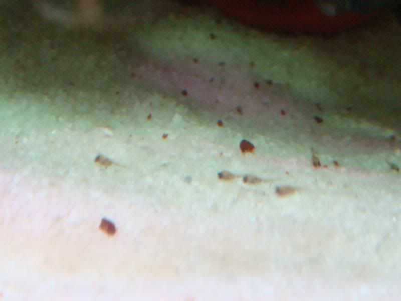 babies004.jpg