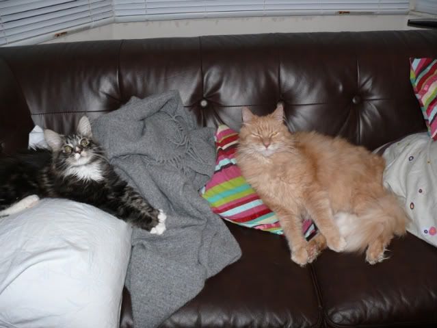 P1080190.jpg