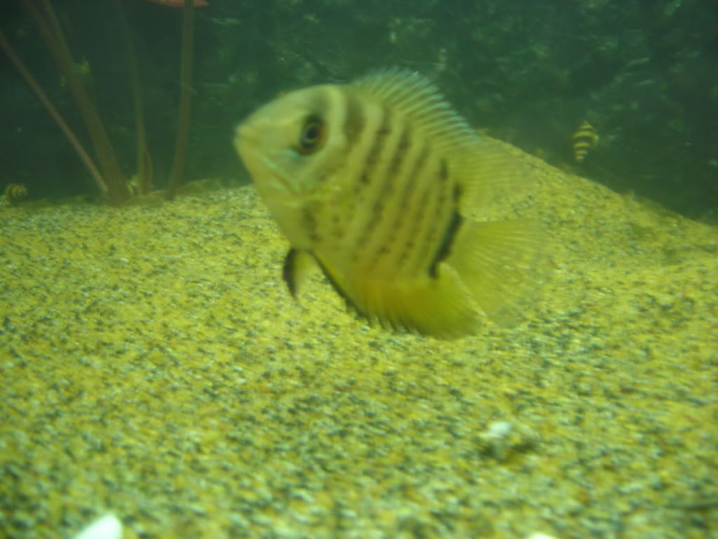 DSCN1746.jpg