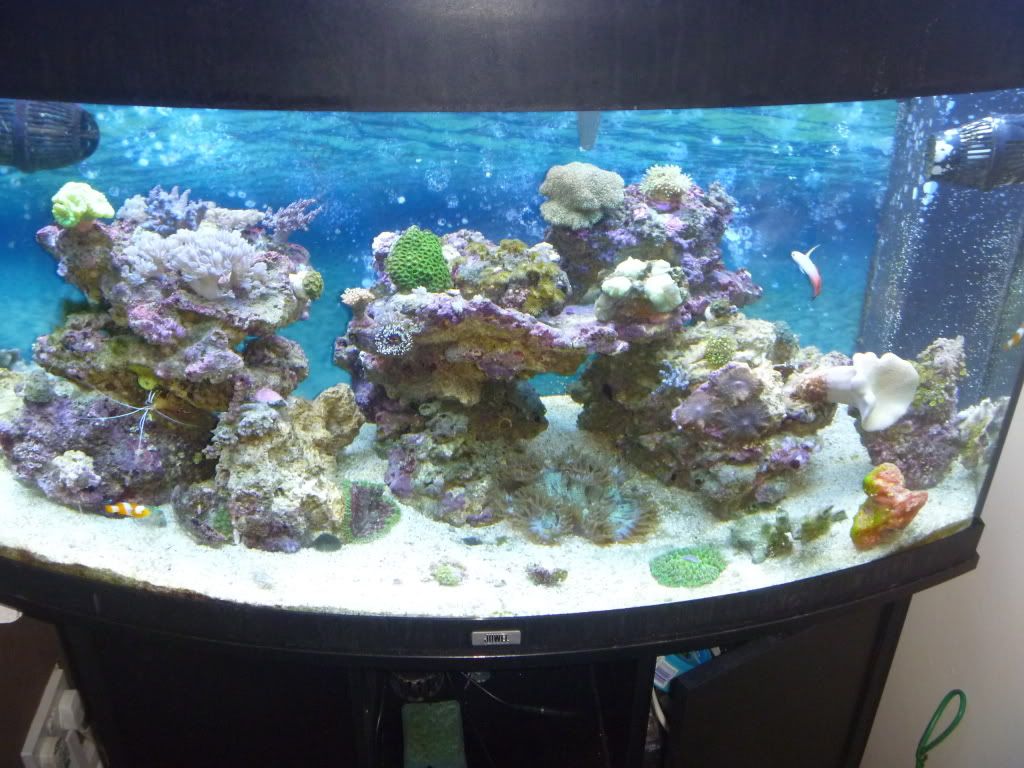 032-9.jpg