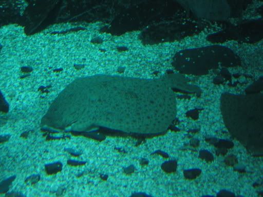 IMG_0666.jpg