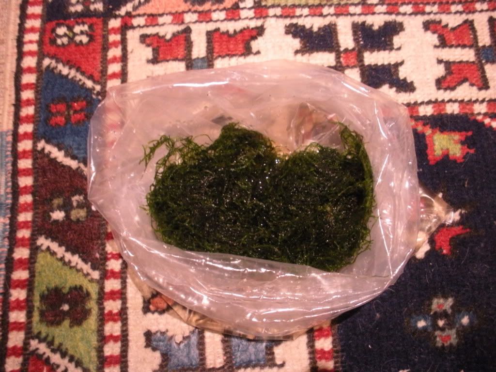 DSCN9979.jpg