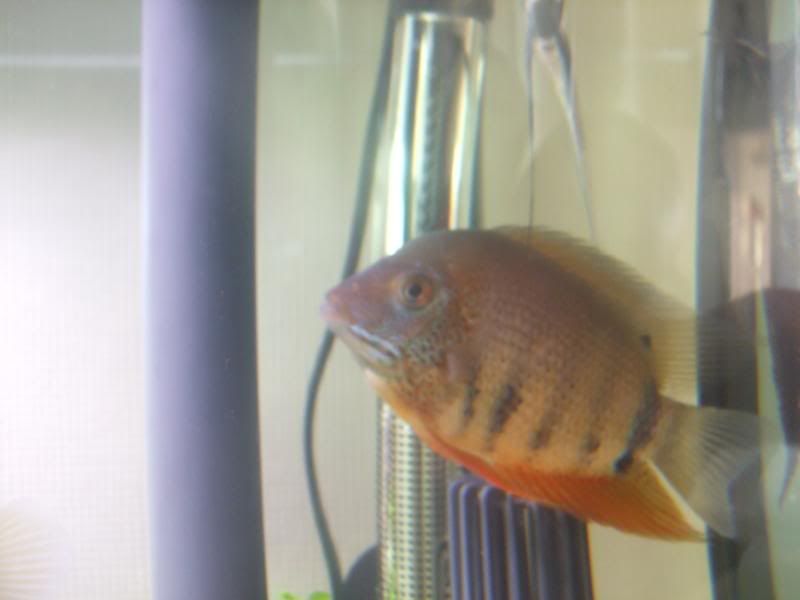 DSCF1856.jpg