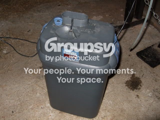 newtank001.jpg