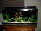 th_DSC01453.jpg