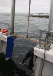 Lift4.gif