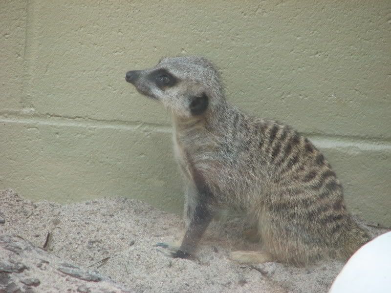 IMG_2806.jpg