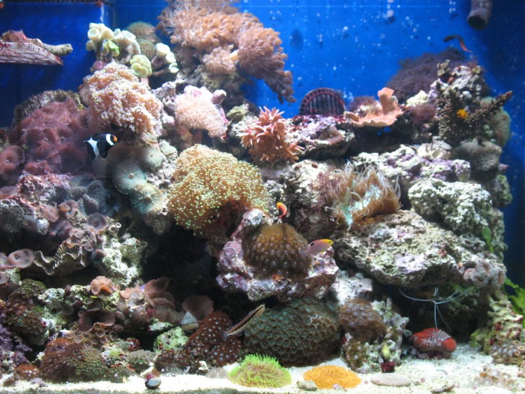 IMG_1976.jpg