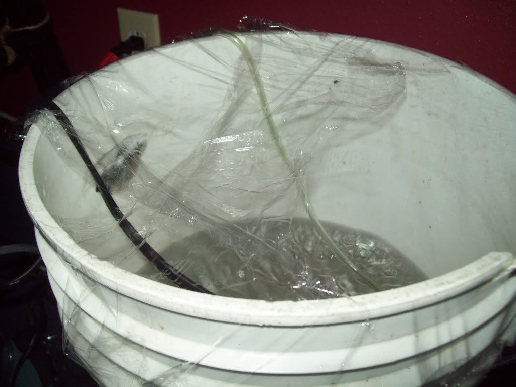 003-36.jpg