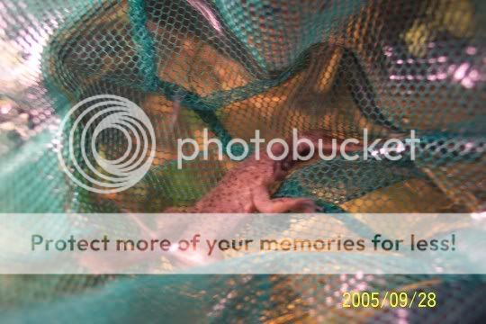 100_2906.jpg