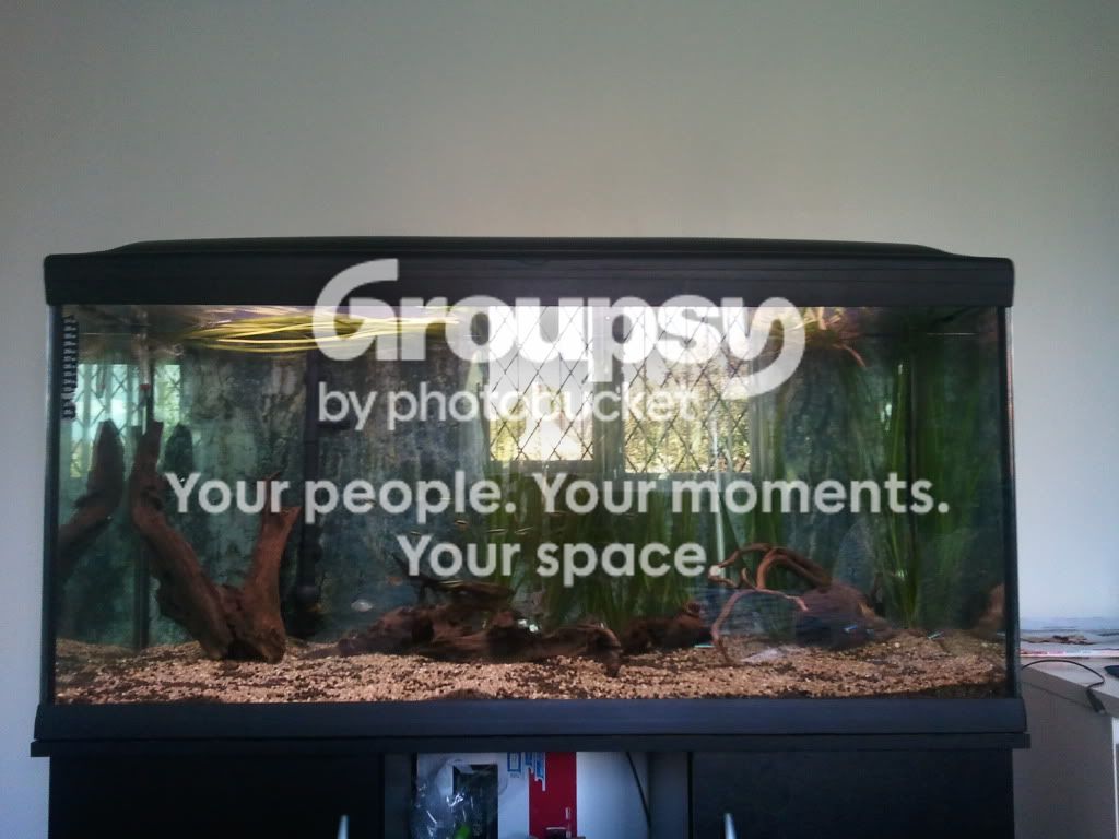 2011-08-04182501.jpg