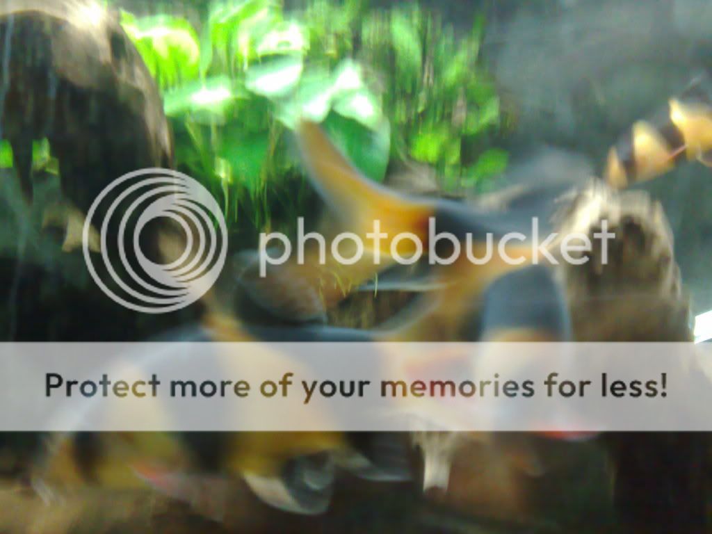 07052009244.jpg