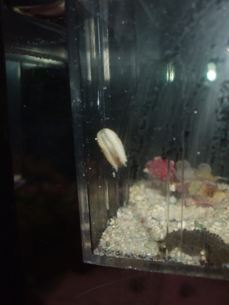 DSCF9065.jpg