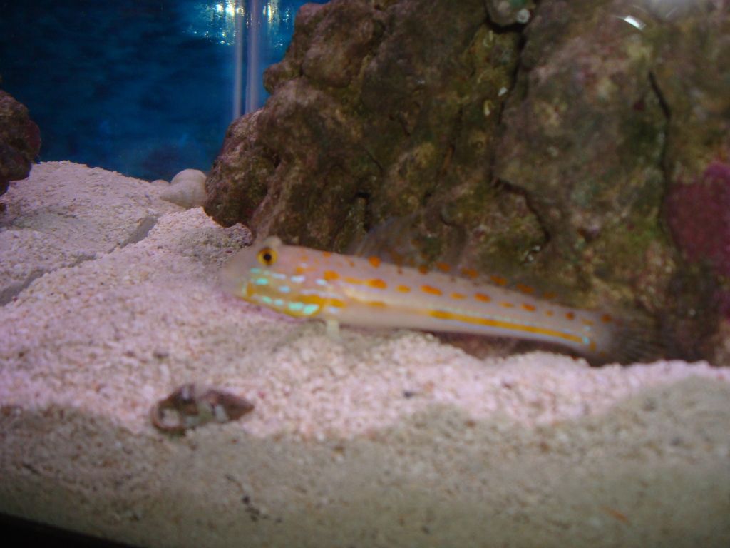 DSC02606.jpg