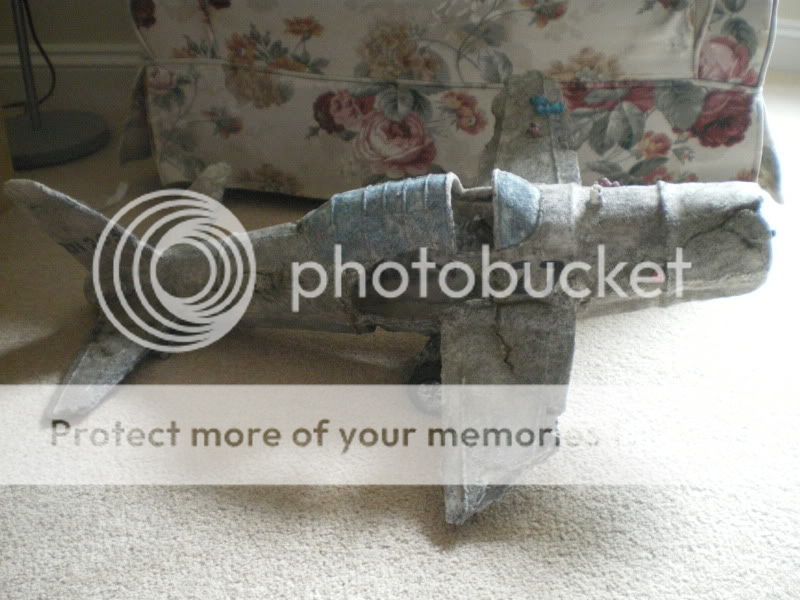 IMGP0104.jpg