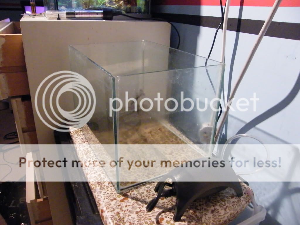DSCF4493.jpg