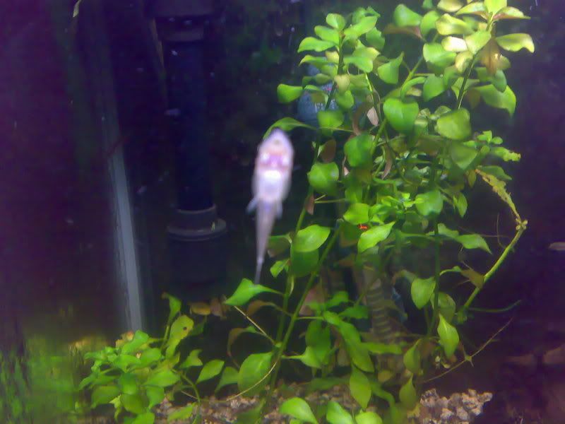 20062007354.jpg