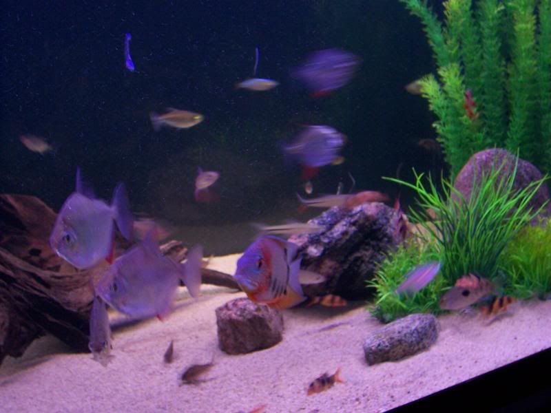 100_6082.jpg