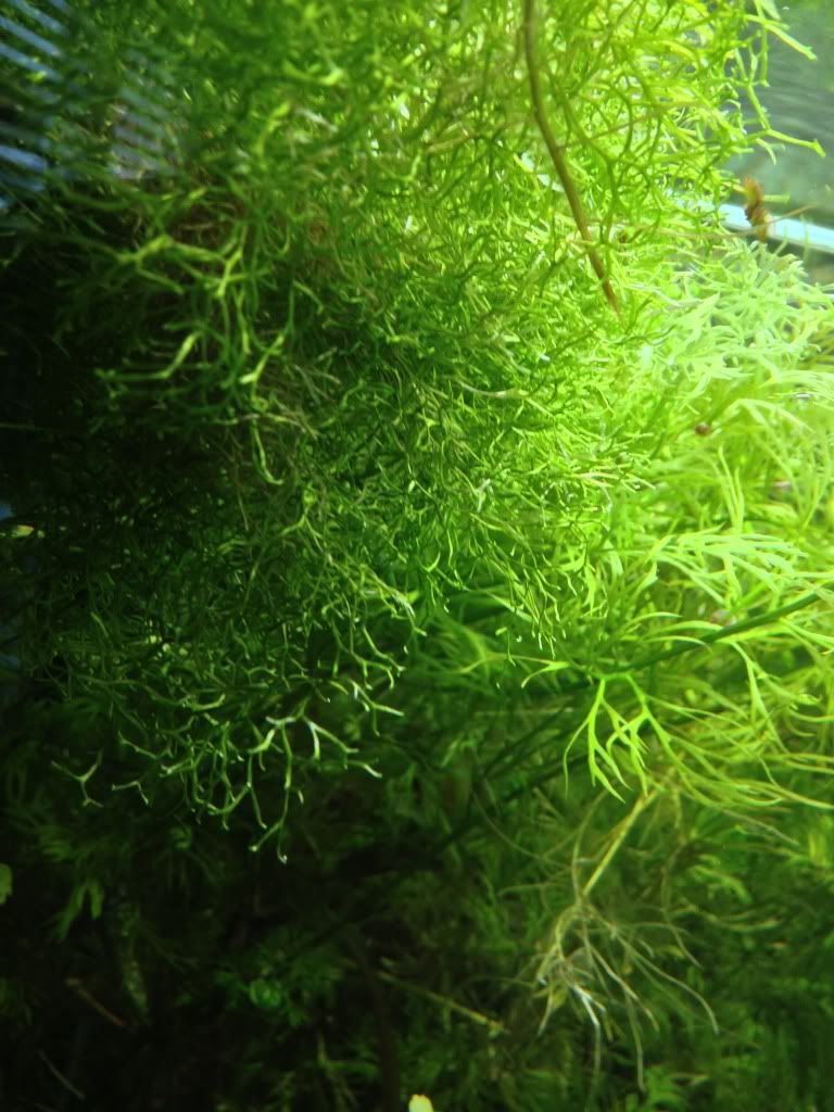 IMG_3151.jpg